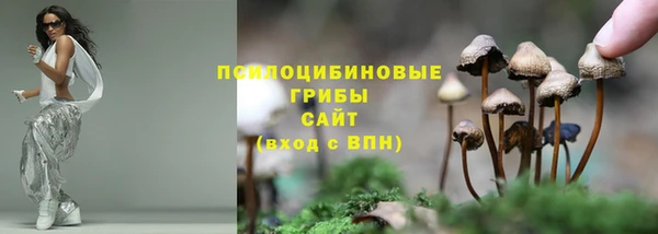 круглые Арсеньев